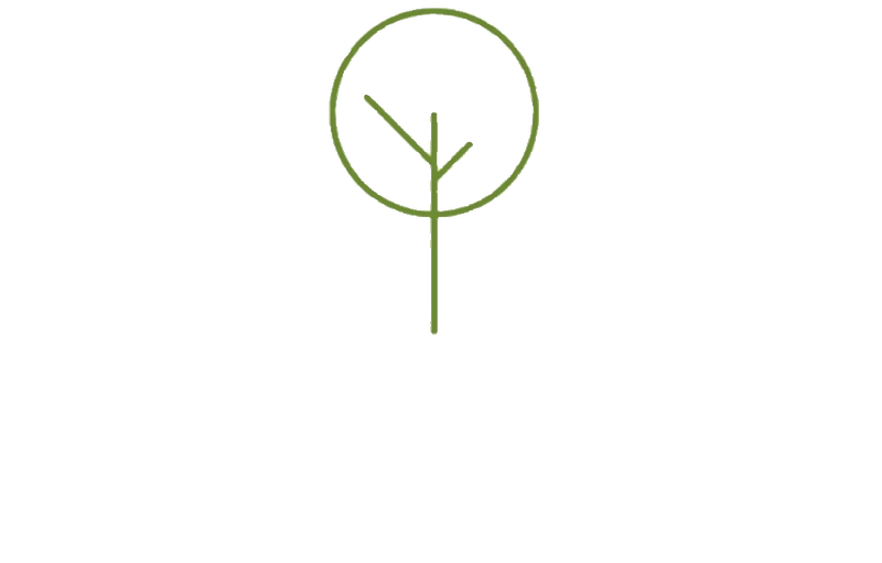 Caseea